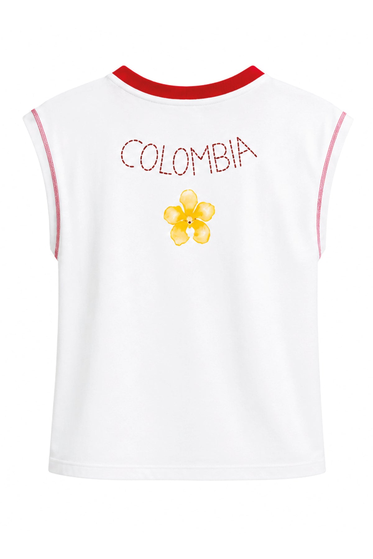 Camiseta Tricolor V